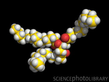 fat molecule