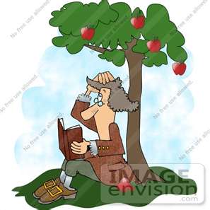 apple tree