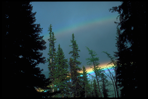 Different Kinds of Rainbows, Our Blog