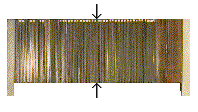 A fuel cell stack