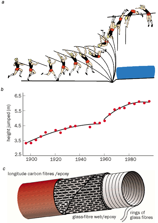 Physics of pole vault