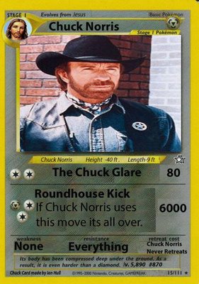 Chuck Norris Pokemon