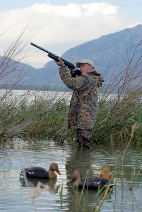 Duck hunter