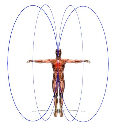 Electromagnetic fields in the body
            through heart