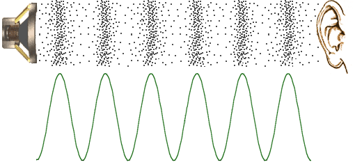 compressions and rarefactions of sound waves