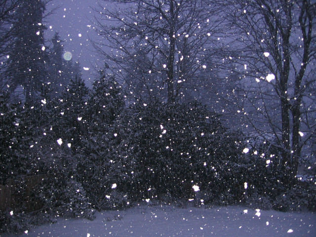 Snowfall_1
