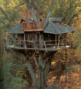 http://www.nachi.org/images10/treehouse.jpg