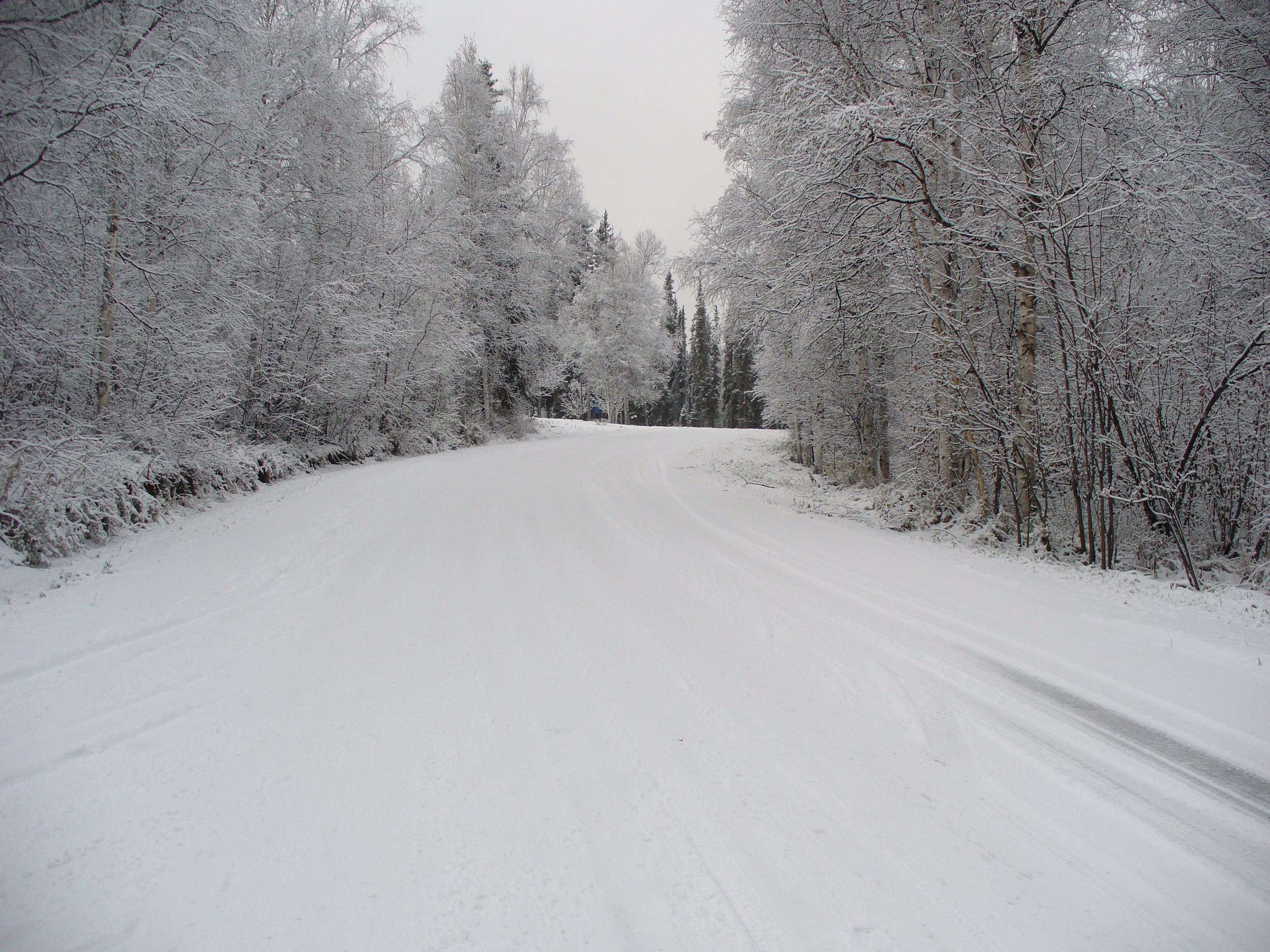 Snow Accumulation