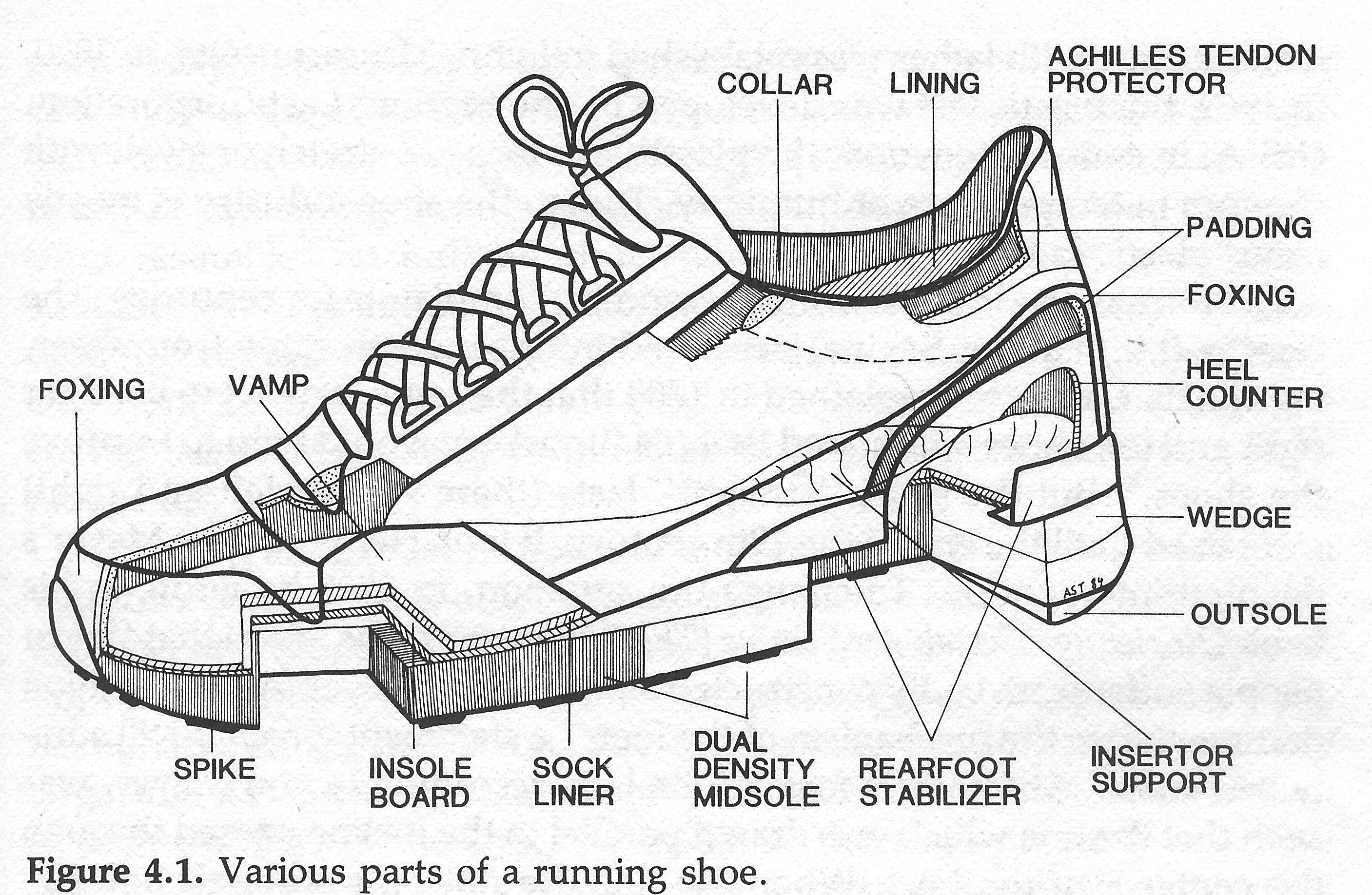 Parts of a Shoe  Running Shoe Anatomy