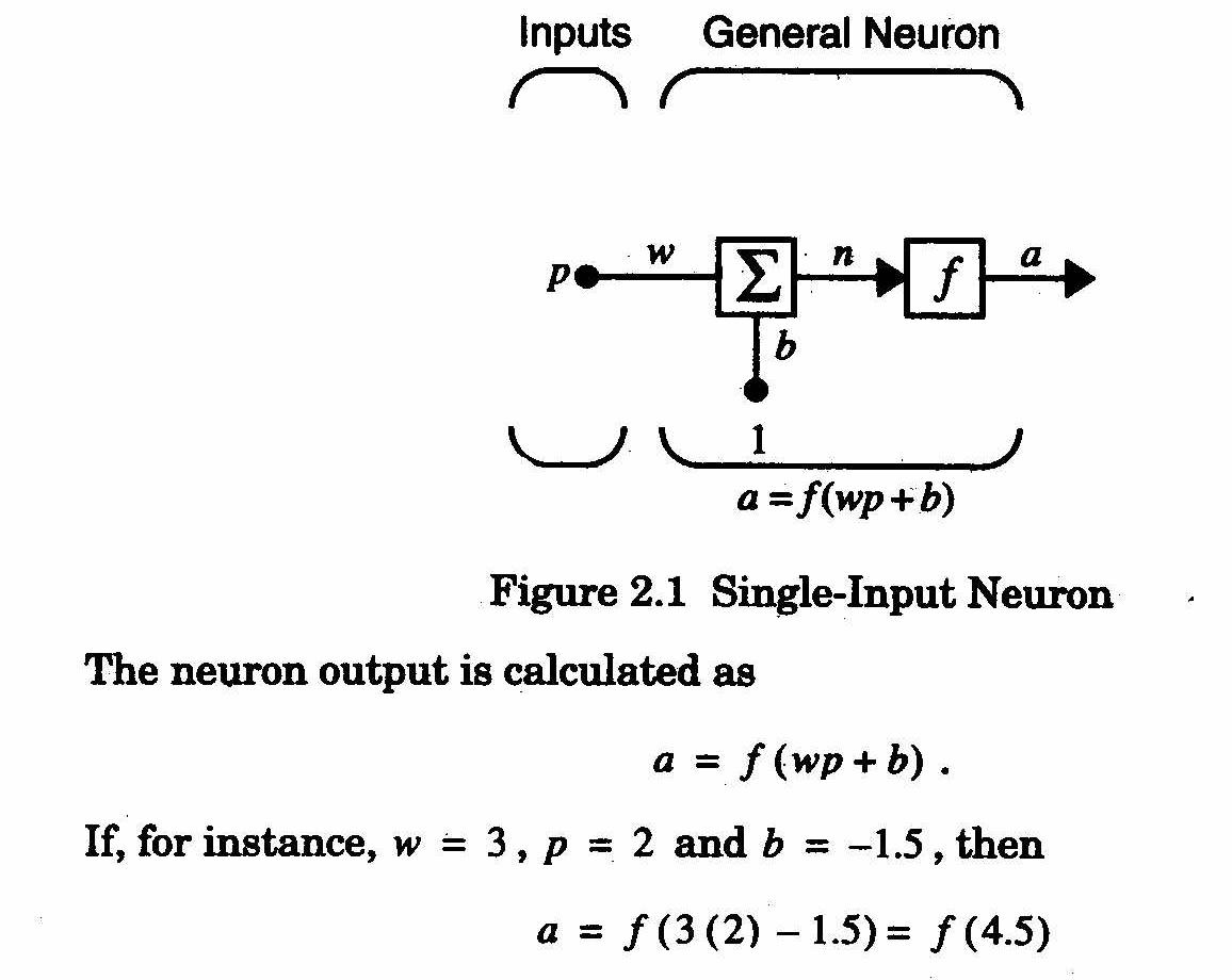 single neuron