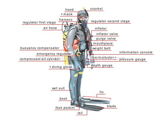 Dive gear, diving equipment illustration
