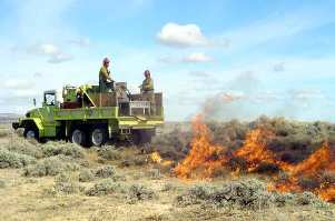 Brush_Truck_WFC