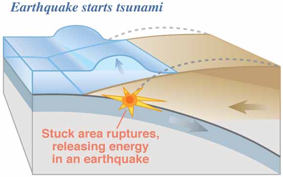 The Physics of Tsunamis