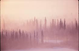 ice fog