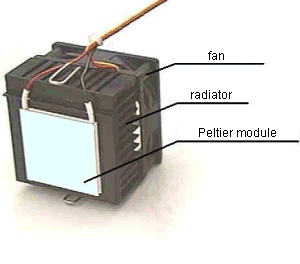 Peltier module with fan
