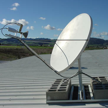 dish