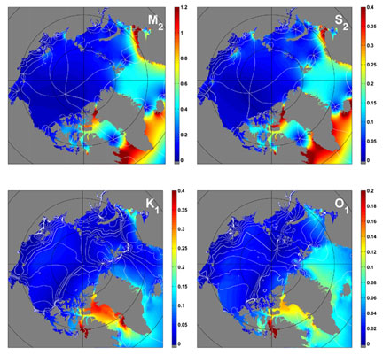 arctic%204.jpg