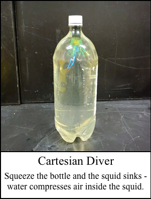 Cartesian Diver