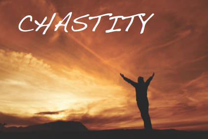 image
        fromwww.nwjesuits.info/ACTS/wp-content/uploads/chastity2.png