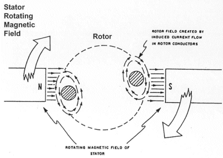 Induction Motor Diagram