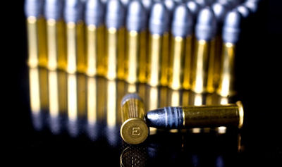 image of .22 bullets