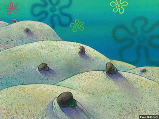 Sandy Sand Boarding Down Sand
                Mountain