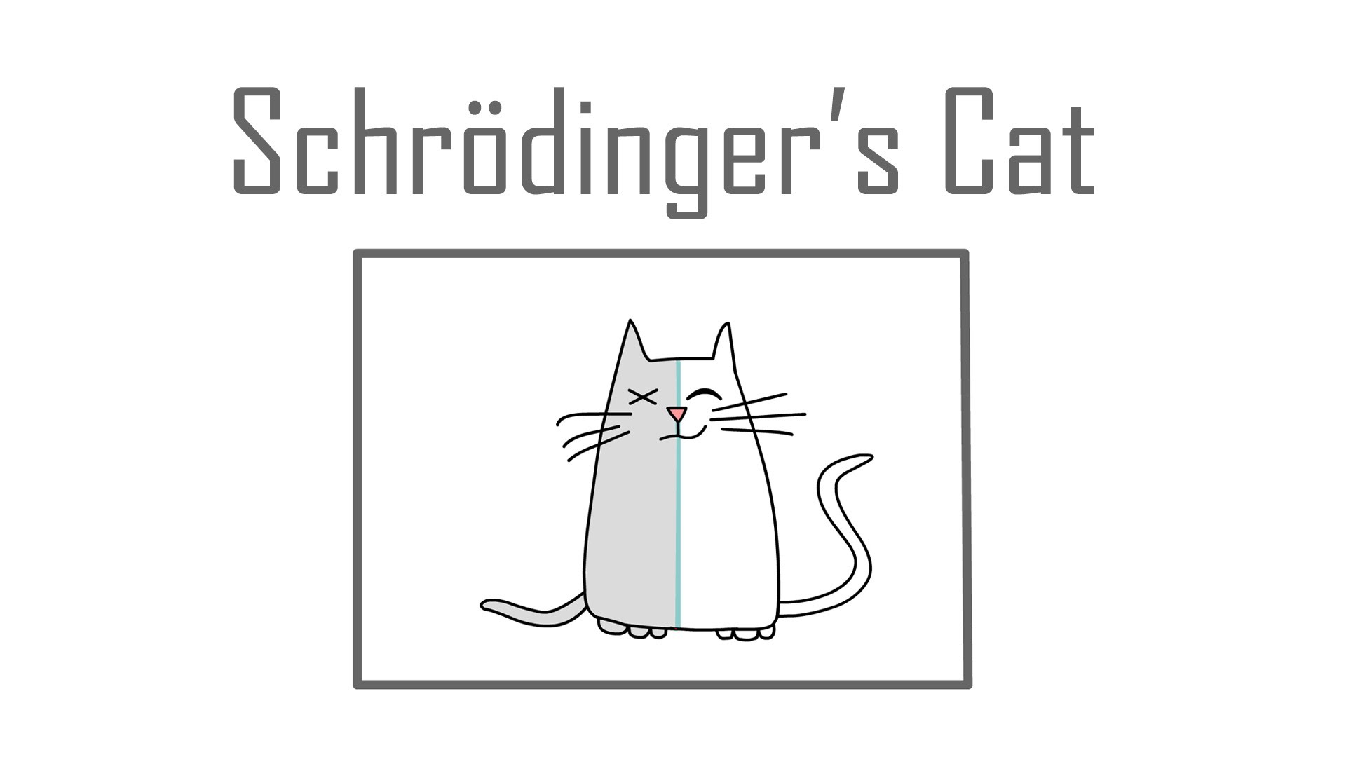 schrodinger's
                    cat