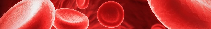 Blood cells