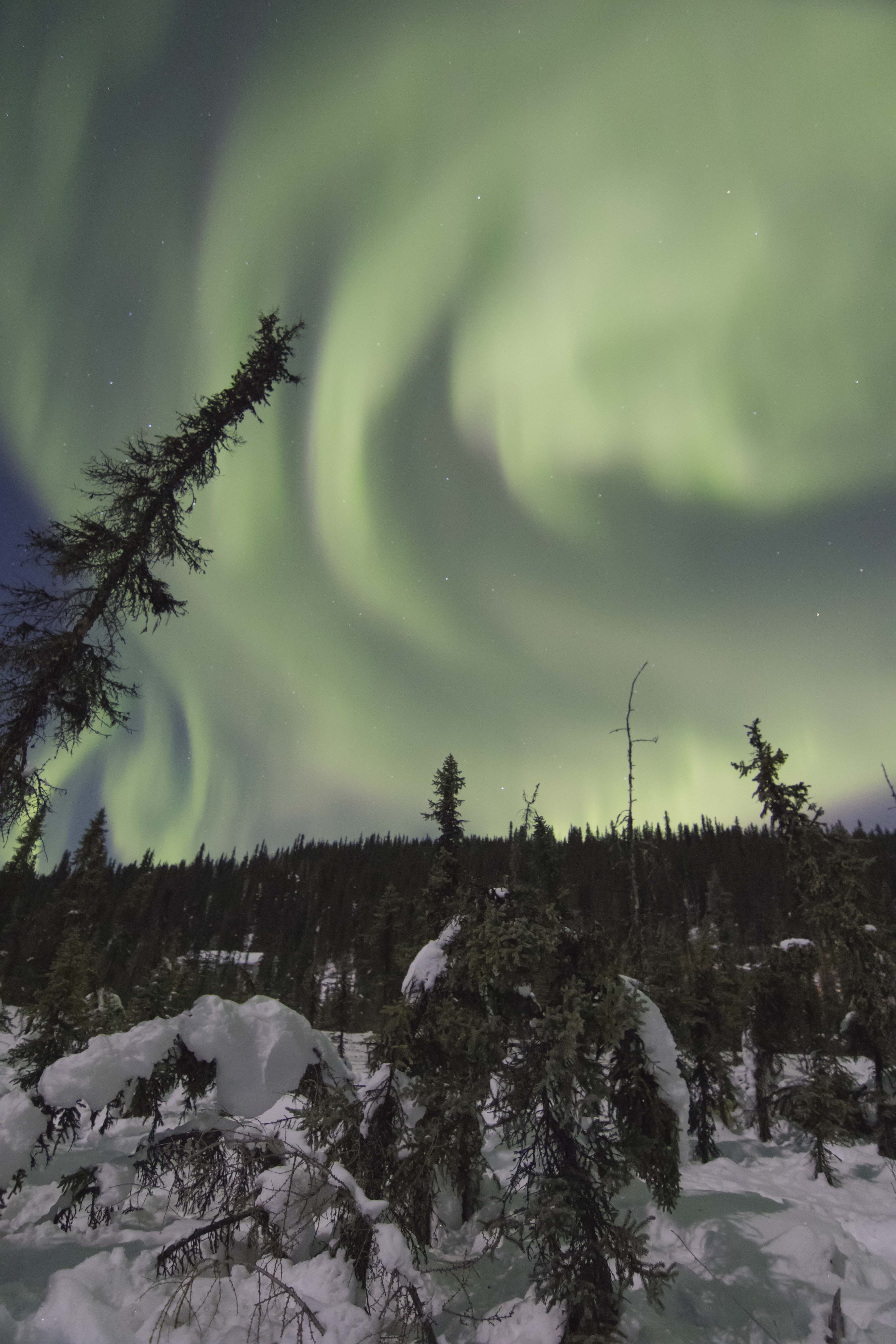 Aurora seen from
                Fairbanks, Alaska