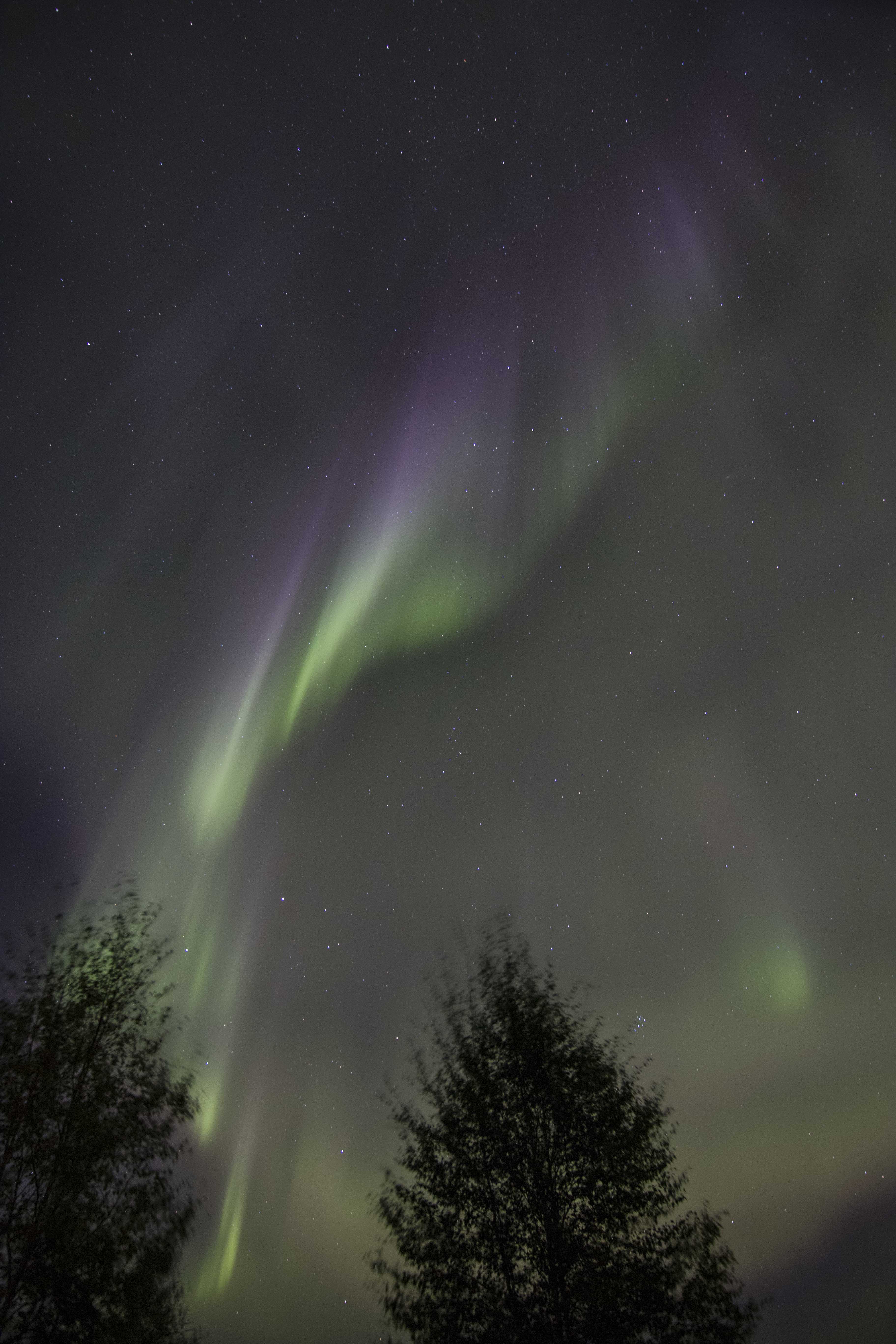 Aurora Seen from
                Fairbanks, Alaska