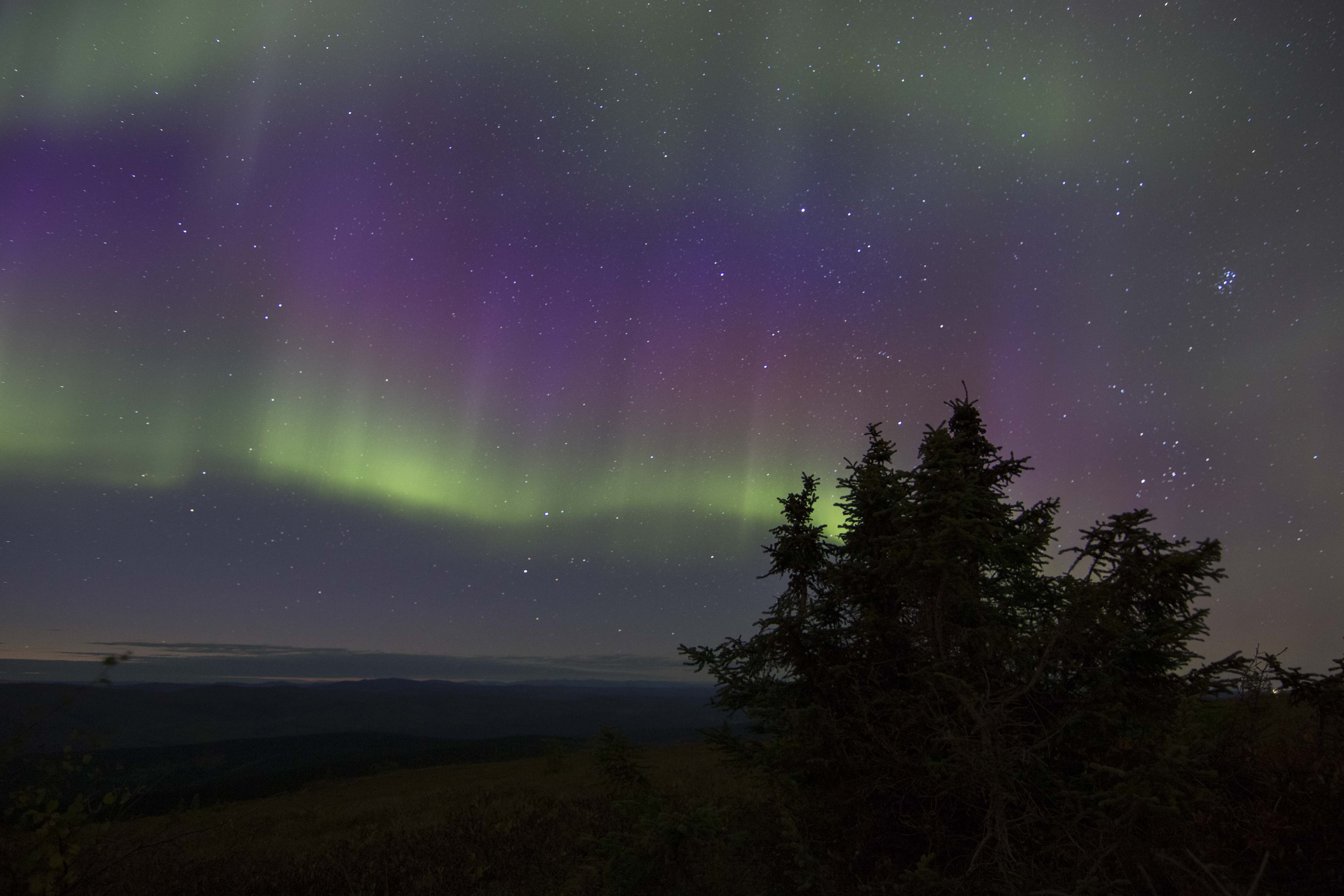 Colorful aurora seen from
                Fairbanks, Alaska