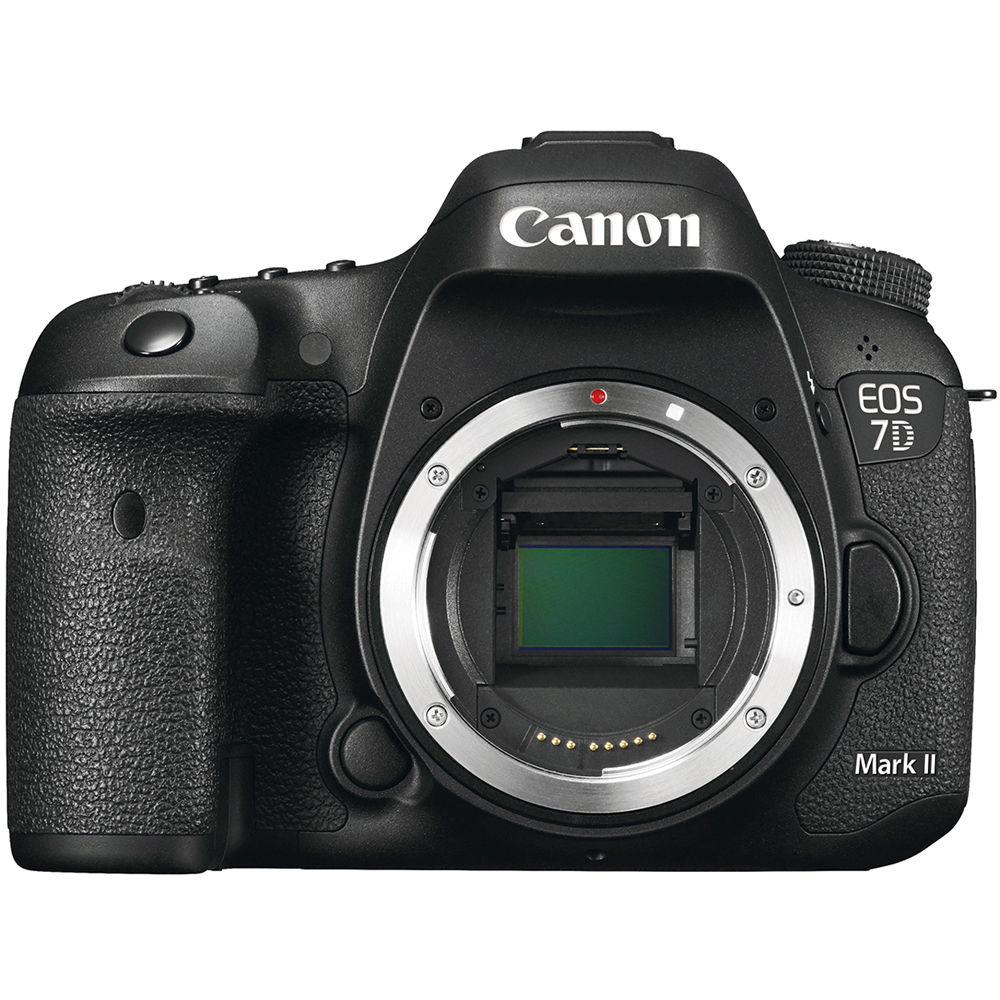 Modern Camera
                  (Canon 7D Mk ii) image #2