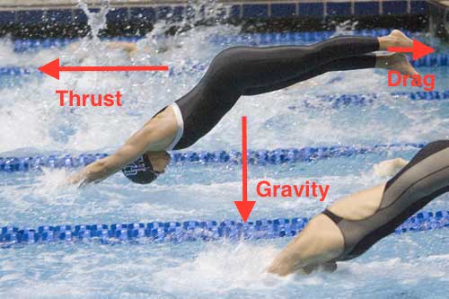 Swimmer force diagram dive