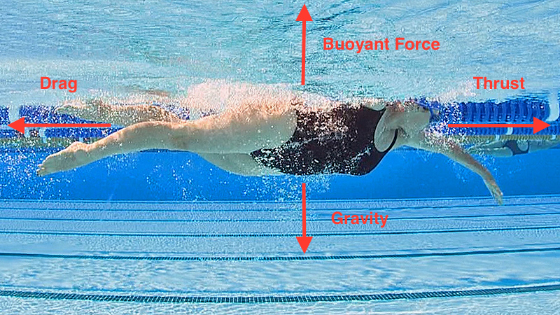 Swimmer force diagram