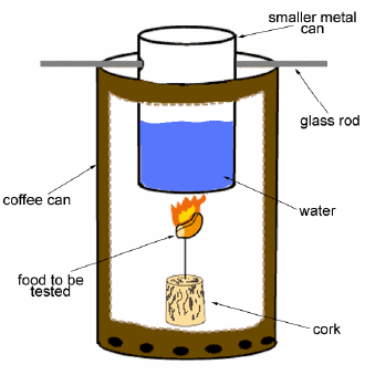 Picture from Science Buddies