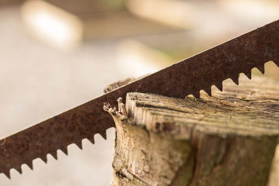 sawing wood