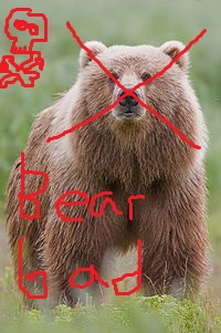 Bear Bad