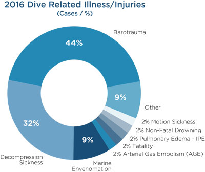 DAN 2016 Injury
                  Breakdown