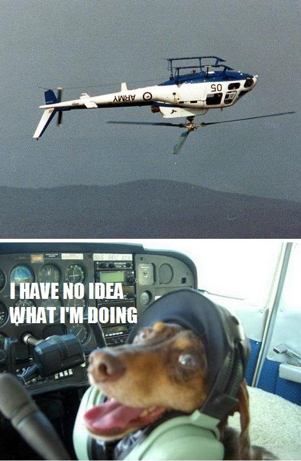 Dog Flying a Helicopter