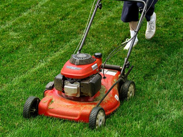 Introduction - lawn mower