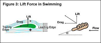 liftforce