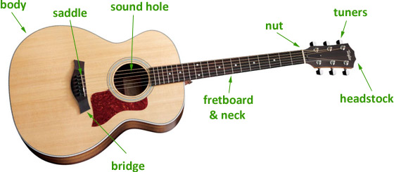 Diagram of Acoustic Guitar