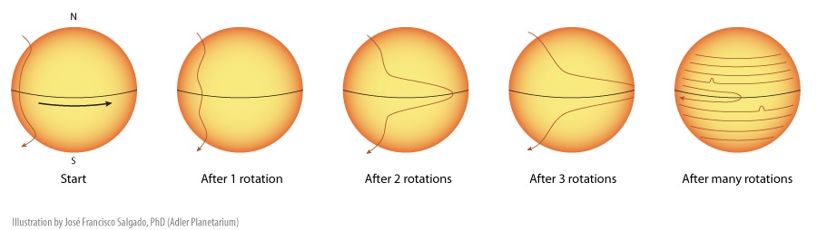 Multiplication
                of Solar Equatorial Magnetic Field Lines