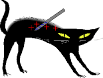 staticcat