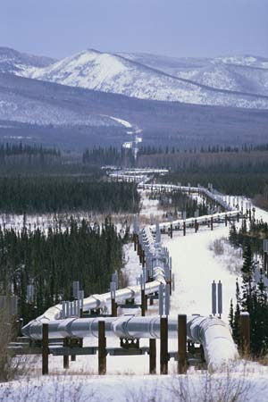 Trans alaska
                            pipeline