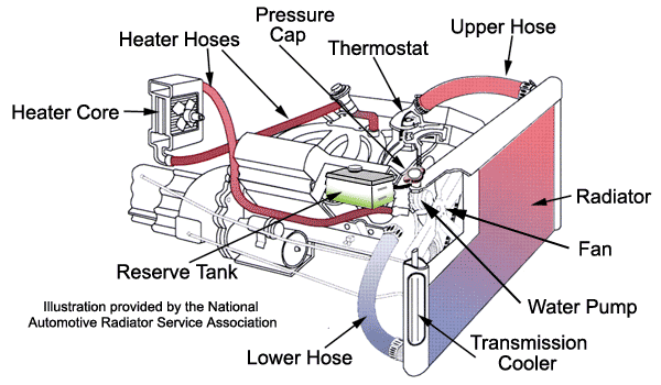 Car Water Pump: Definition, Types, Problems & More