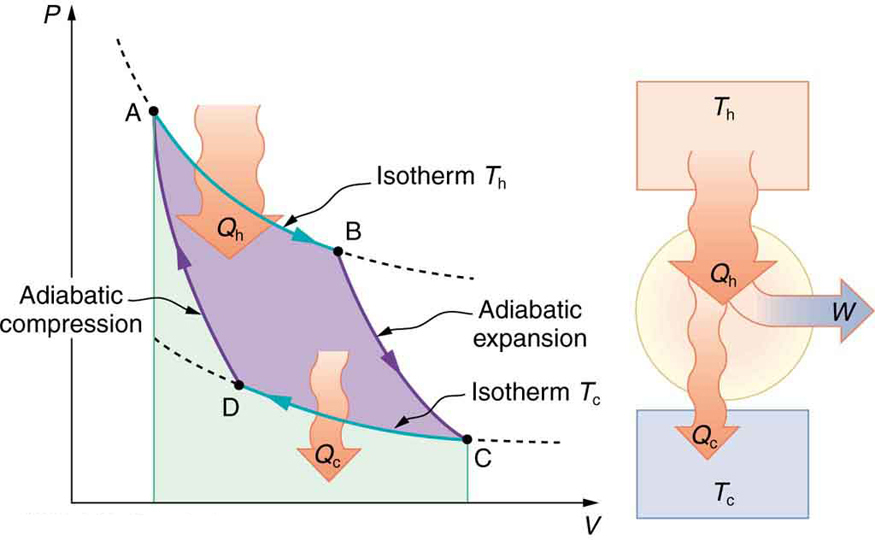 http://figures.boundless.com/31197/full/figure-16-04-02.jpe
