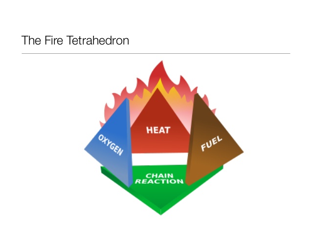Fire tetra