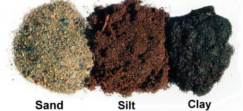 soils