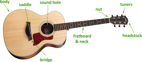 Acoustic Diagram